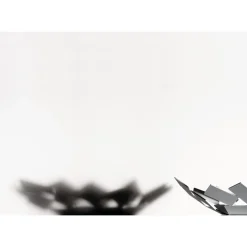 Alessi Schalen|Schale 24,5 x 23,2 cm weiss La Stanza dello Scirocco