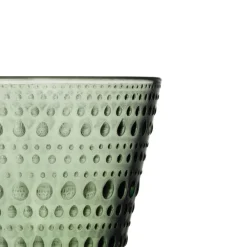 Glas 2er-Set Kastehelmi tannengrün<Iittala Outlet