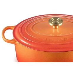 Le Creuset Bräter|20 Jahre Tischwelt|Bräter mit Deckel 29 cm Signature Limited Edition Flamme Dorée