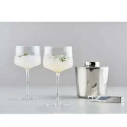 Zone Denmark Gläser Set|Copa/Gin Tonic Glas 2er-Set Rocks klar